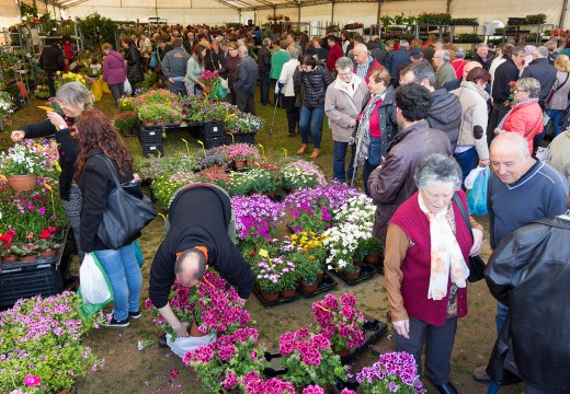 A Feira da Plantación de San Sadurniño ofrecerá este domingo varias actividades paralelas